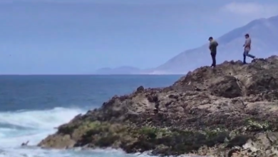 Photo of Carabineros SEBV detiene a prófugo condenado por homicidio se había lanzado al mar para huir
