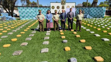 Photo of Fiscal Regional destacó labor investigativa en casos de droga incautadas en la Macrozona Norte