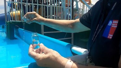 Photo of Salud intensifica fiscalización a piscinas de uso público