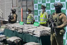 Photo of Primera gran incautación de drogas de 2026: banda cae con 938 kilos de marihuana en Antofagasta