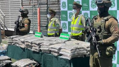 Photo of Primera gran incautación de drogas de 2026: banda cae con 938 kilos de marihuana en Antofagasta