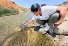 Photo of Comunidades realizan una jornada de monitoreo participativo del río Loa