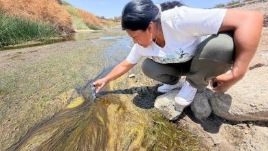 Photo of Comunidades realizan una jornada de monitoreo participativo del río Loa