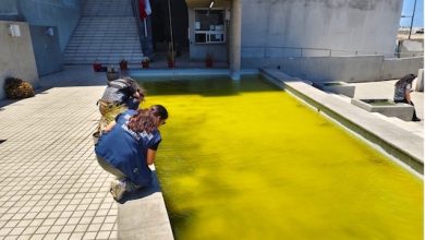 Photo of Salud clausura 5 piscinas en Antofagasta por graves falta a la sanidad