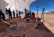 Photo of Con histórica inversión de $400 millones fortalecen agricultura en pleno desierto de atacama