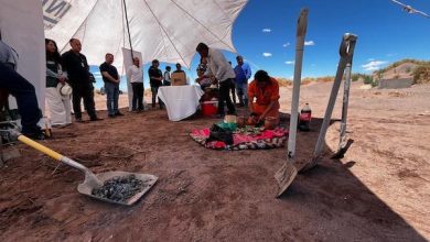 Photo of Con histórica inversión de $400 millones fortalecen agricultura en pleno desierto de atacama