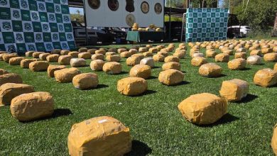 Photo of Trabajo interinstitucional de Fiscalía y Carabineros detectó tráfico de 275 kilos de droga