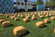 Photo of Fiscalía formalizó a imputados por tráfico de droga y quedaron en prisión preventiva