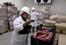 Photo of Junaeb garantiza la alimentación para el inicio del año escolar en la Región de Antofagasta