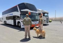 Photo of Carabineros refuerza presencia policial en la Ruta 5 Norte para resguardar la seguridad vial y combatir el tráfico de drogas