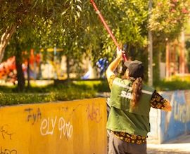 Photo of SAG informa campaña de control y erradicación de Mosca de la Fruta en la comuna de Tocopilla