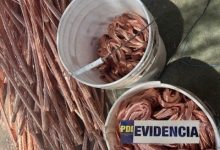 Photo of PDI recupera cuatro toneladas de cable de cobre sustraídas desde faena minera en Sierra Gorda
