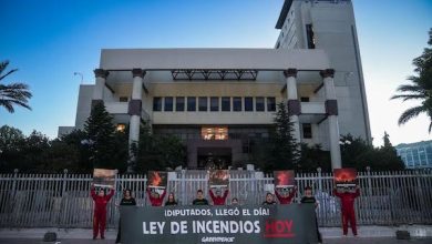 Photo of Al amanecer y frente al Congreso: Greenpeace exige a Diputados aprobar hoy la ley de incendios