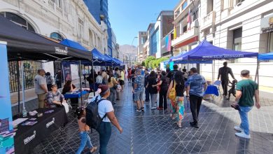Photo of Con acto y feria de servicios públicos, autoridades de la región conmemoraron el Día Internacional de la Mujer en Antofagasta