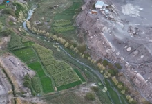 Photo of ❞𝙇𝙖𝙨𝙖𝙣𝙖, 𝙏𝙚𝙨𝙤𝙧𝙤 𝘼𝙣𝙘𝙚𝙨𝙩𝙧𝙖𝙡❞ – Flores del Desierto de Calama