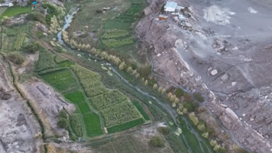 Photo of ❞𝙇𝙖𝙨𝙖𝙣𝙖, 𝙏𝙚𝙨𝙤𝙧𝙤 𝘼𝙣𝙘𝙚𝙨𝙩𝙧𝙖𝙡❞ – Flores del Desierto de Calama