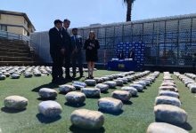 Photo of Cae banda que intentaba trasladar a Santiago media tonelada de cannabis en un contenedor de gas licuado