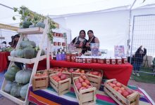 Photo of Pueblo de Camar realizó su fiesta del tomate