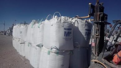 Photo of Fiscalización de Sernapesca detectó sobreproducción de huiro negro en planta de Taltal