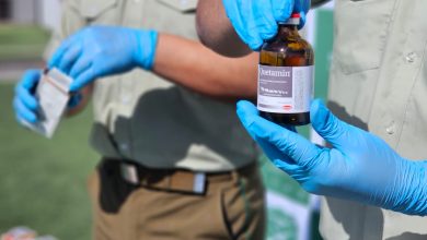 Photo of Fiscalía formalizó a detenidos por tráfico de ketamina. Siete quedaron en prisión preventiva