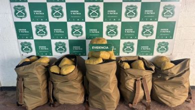 Photo of En control carretero focalizado Carabineros del OS7 El Loa intercepta 88 kilos de marihuana