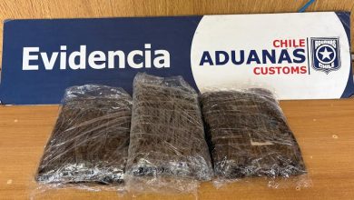 Photo of Aduanas de Arica detecta nuevos casos de tráfico de cocaína base en Chacalluta ·