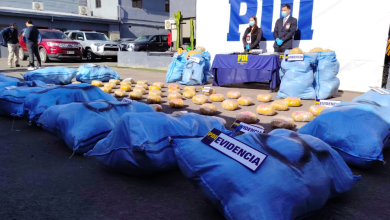 Photo of Despliegue en frontera permite incautación de droga, armamento y vehículos con encargo por robo