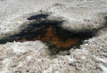 Photo of Microorganismos del desierto de Atacama podrían ayudar a detectar vida en otros planetas