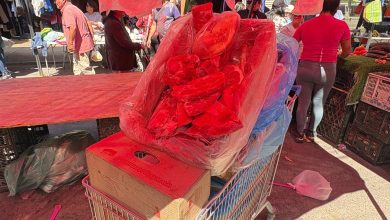 Photo of SEGURIDAD PÚBLICA DECOMISA 350 KILOS DE CARNE Y PESCADO EN FERIAS LIBRES DURANTE SEMANA SANTA