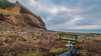 Photo of Ingresan proyecto que regula la residencia de turistas en archipiélago Juan Fernández
