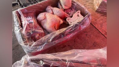 Photo of 600 kilos de carne informal decomisó municipalidad en Ferias Rotativas de Calama