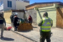 Photo of DECOMISAN MÁS DE CINCO TONELADAS DE FRUTAS Y VERDURAS Y 517 PRODUCTOS DE CONTRABANDO EN FERIAS ROTATIVAS