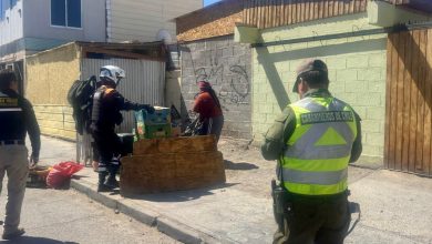 Photo of DECOMISAN MÁS DE CINCO TONELADAS DE FRUTAS Y VERDURAS Y 517 PRODUCTOS DE CONTRABANDO EN FERIAS ROTATIVAS