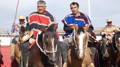Photo of Jinetes Calameños, representarán a Calama, en el inicio de temporada de la Federación de Rodeo Campesino