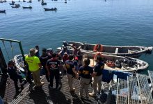 Photo of En la bahía de Mejillones buscan cuerpo por presunta desgracia denunciada en Mejillones